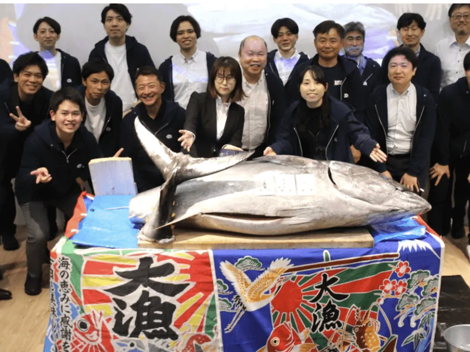 3月｜マグロ解体ショー